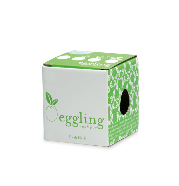 Eggling in Presentation Box