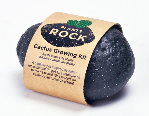 Plant Rock Cactus in Black