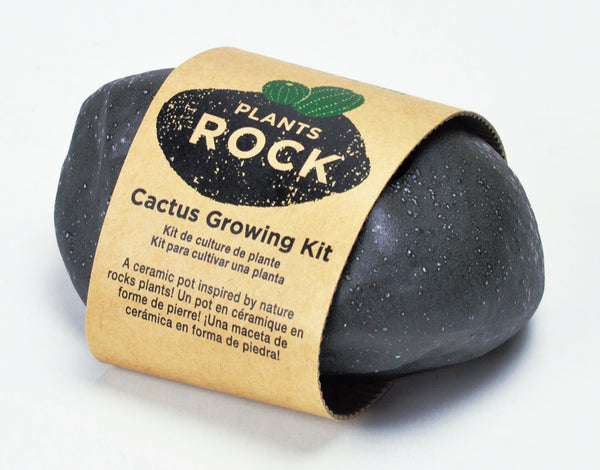 Plant Rock Cactus in Black